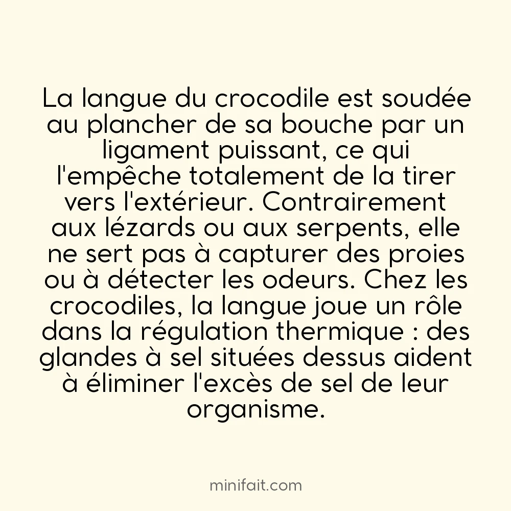 Les crocodiles ne peuvent pas tirer la langue