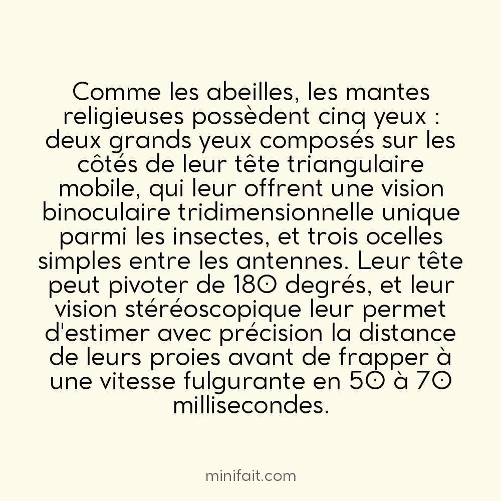 Les mantes religieuses ont 5 yeux