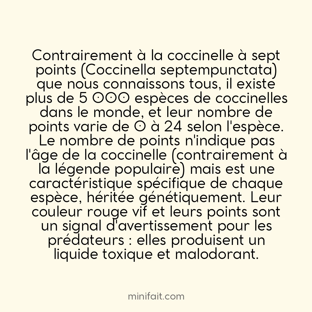 Les coccinelles peuvent avoir jusqu&rsquo;à 24 points