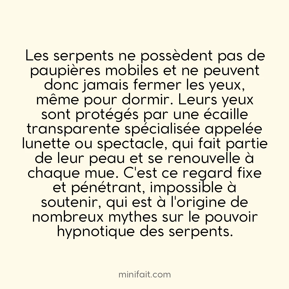 Les serpents n&rsquo;ont pas de paupières