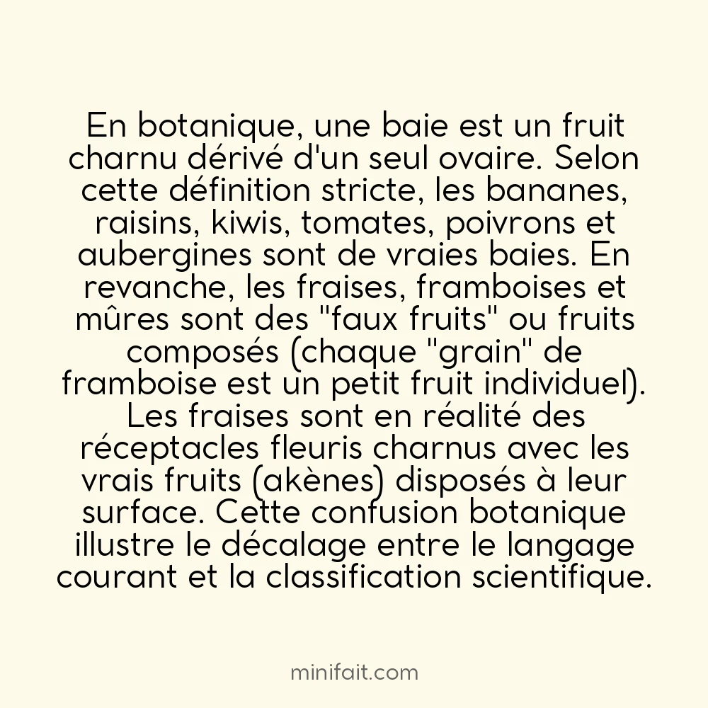 Les fraises ne sont botaniquement pas des baies, mais les bananes si