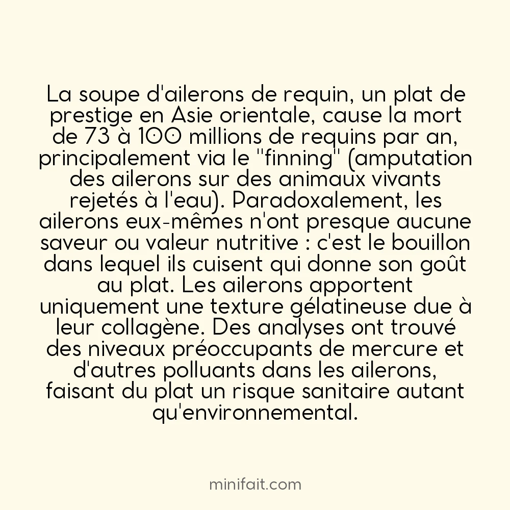 La soupe de requin est dangereuse pour les requins et peu nutritive pour les humains