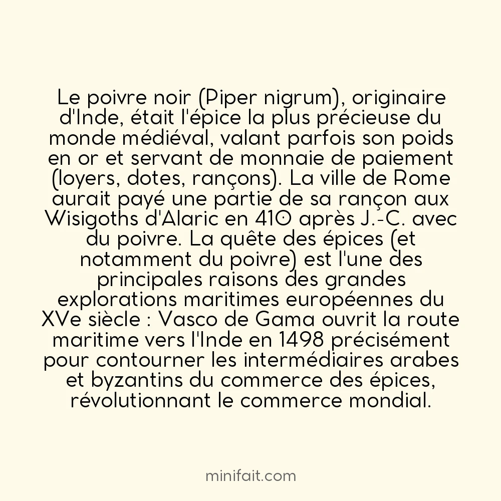 Le poivre noir était autrefois aussi précieux que l&rsquo;or