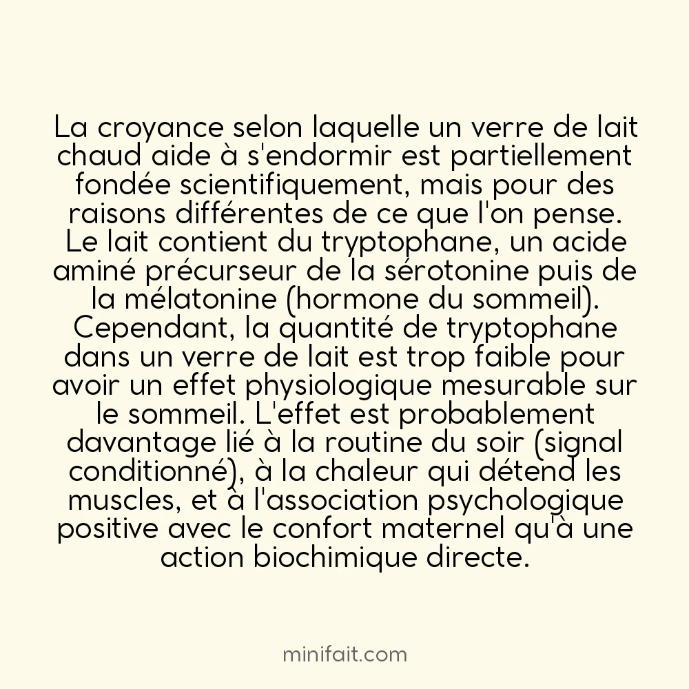 Le lait chaud favorise le sommeil grâce au tryptophane et non à la chaleur