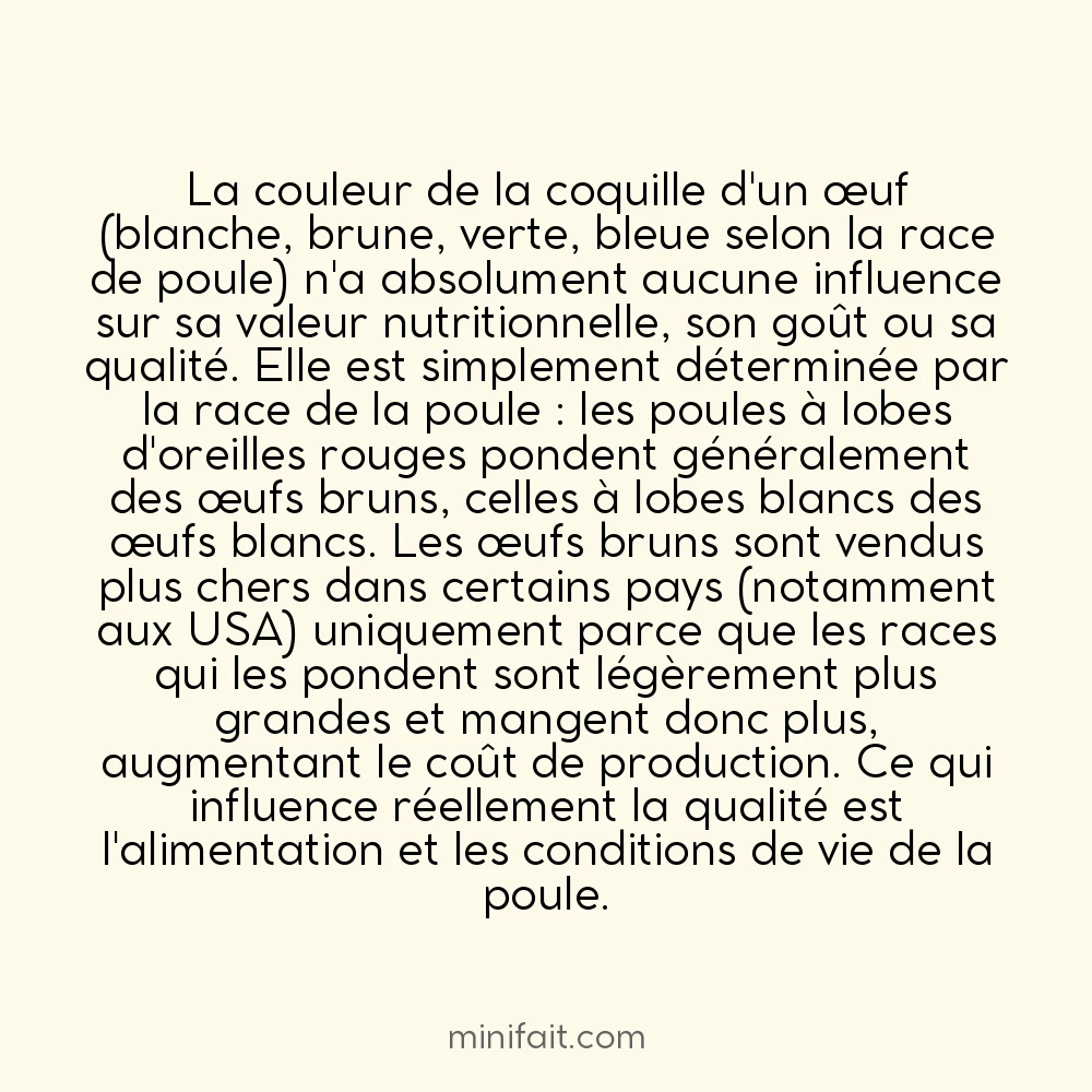 Les œufs bruns ne sont pas plus nutritifs que les œufs blancs
