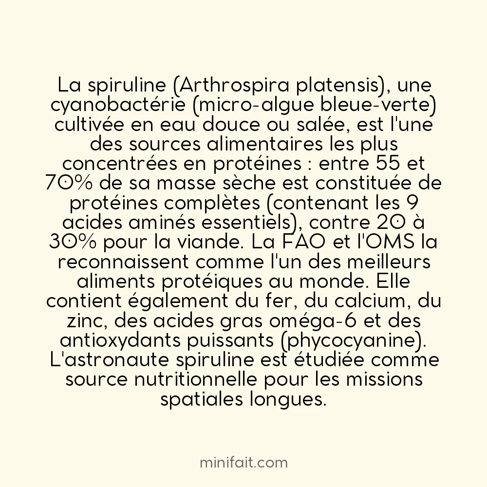 Les algues spiruline contiennent plus de protéines que la viande