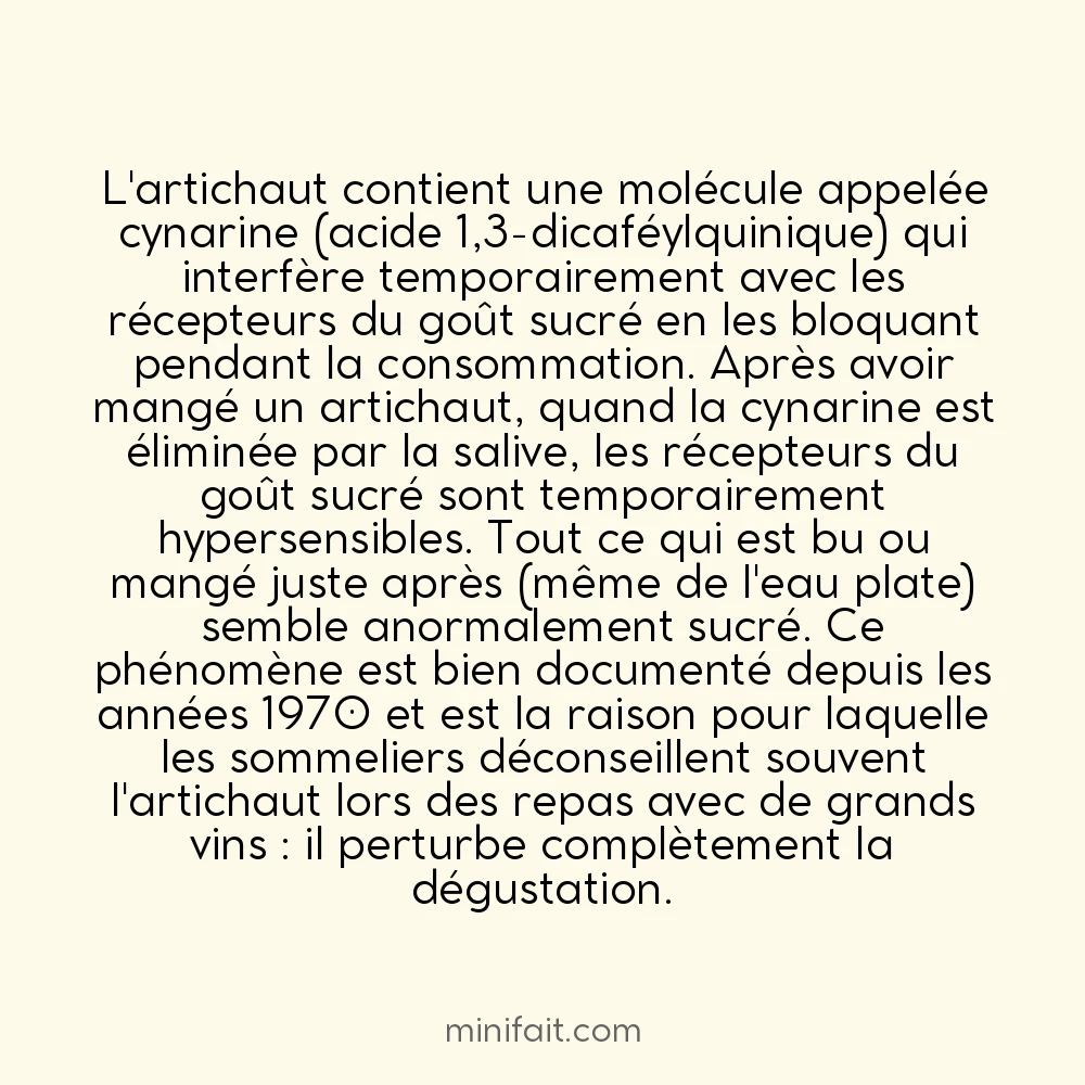 Les artichauts ont la particularité de rendre tout ce qu&rsquo;on mange après plus sucré