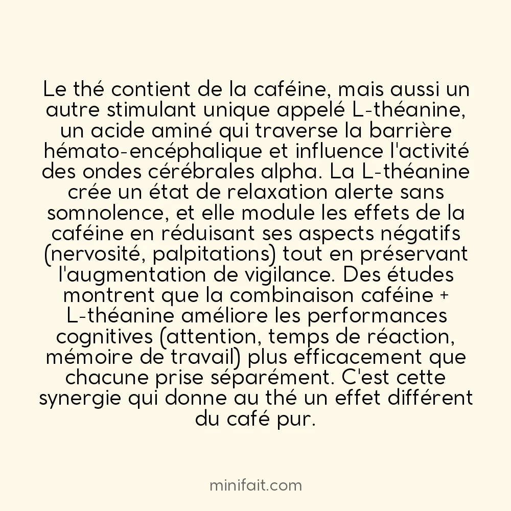 La caféine n&rsquo;est pas le seul stimulant dans le thé