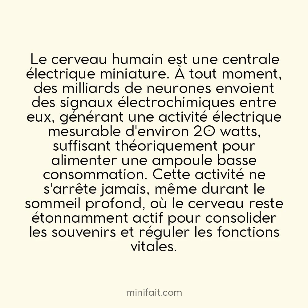 Le cerveau humain génère assez d&rsquo;électricité pour allumer une ampoule
