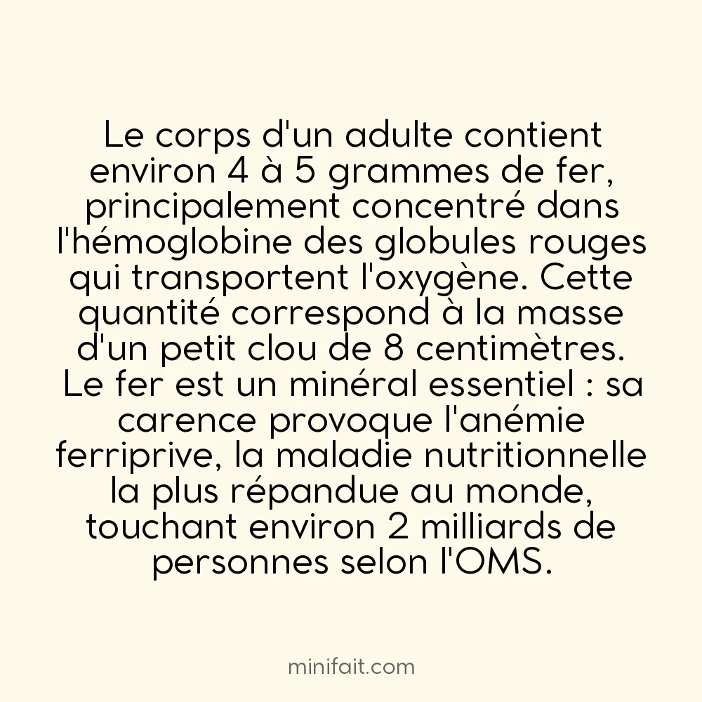 Le corps humain contient assez de fer pour faire un clou de 8 cm