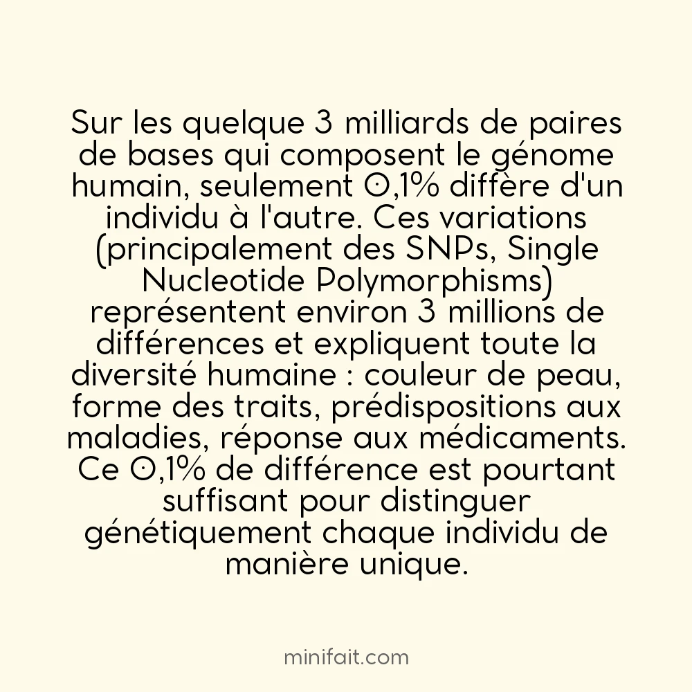 L&rsquo;ADN humain est identique à 99,9% entre tous les individus