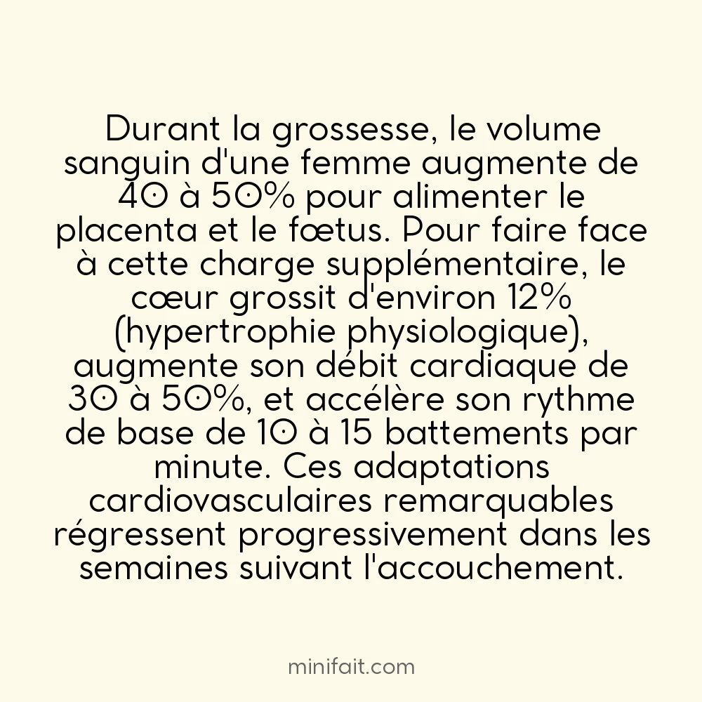 Les femmes enceintes voient la taille de leur cœur augmenter de 12%