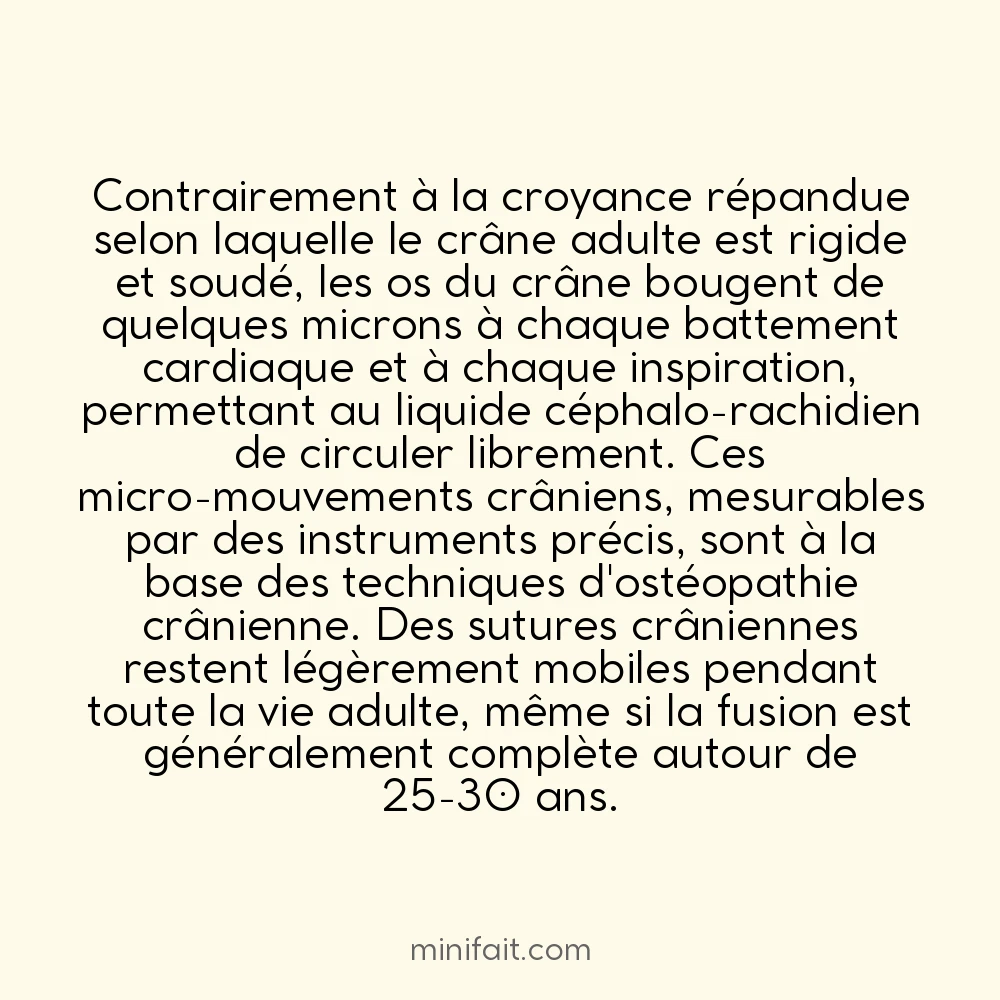 Les os du crâne bougent légèrement tout au long de la vie