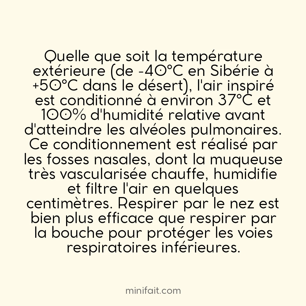 Le corps humain rechauffe l&rsquo;air inhalé à 37°C avant qu&rsquo;il atteigne les poumons