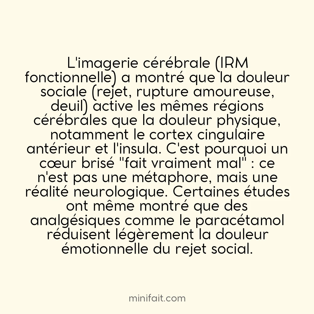 Les humains ressentent la douleur émotionnelle dans les mêmes zones cérébrales que la douleur physique
