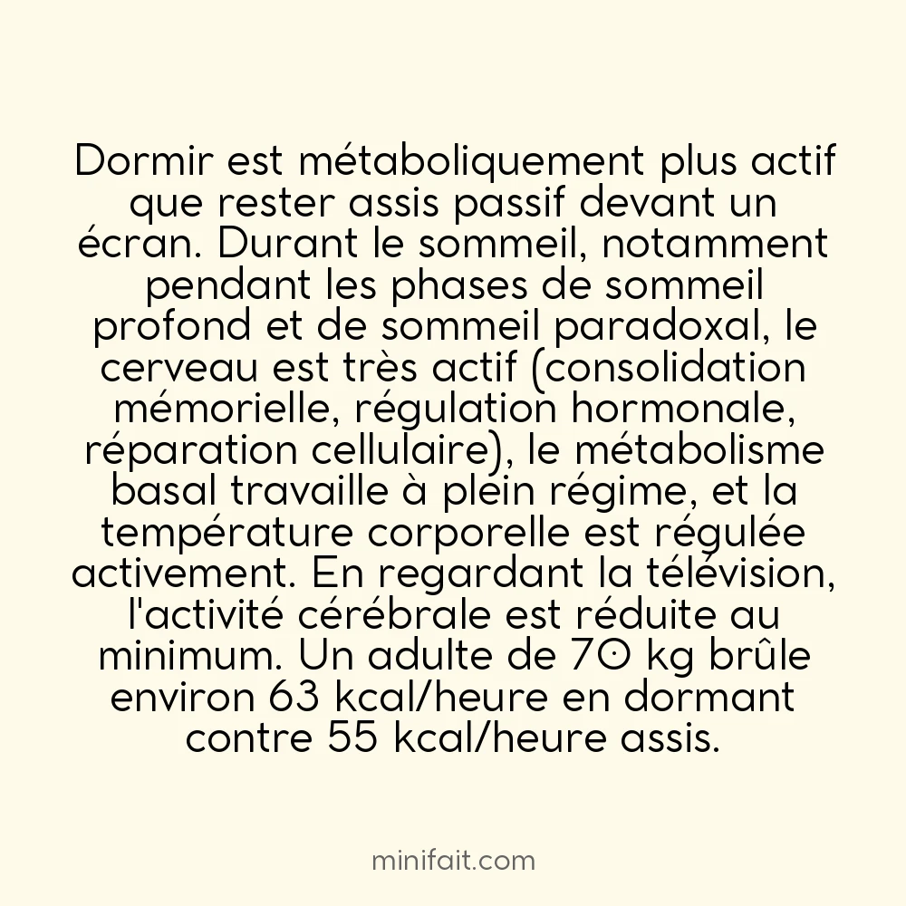 Le corps humain brûle plus de calories en dormant qu&rsquo;en regardant la télévision