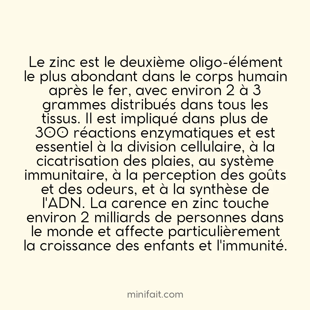 Le corps humain contient environ 2,5 g de zinc
