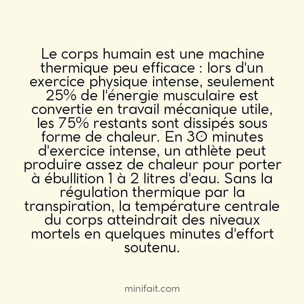 La chaleur corporelle produite en 30 minutes d&rsquo;exercice suffirait à faire bouillir 1 litre d&rsquo;eau