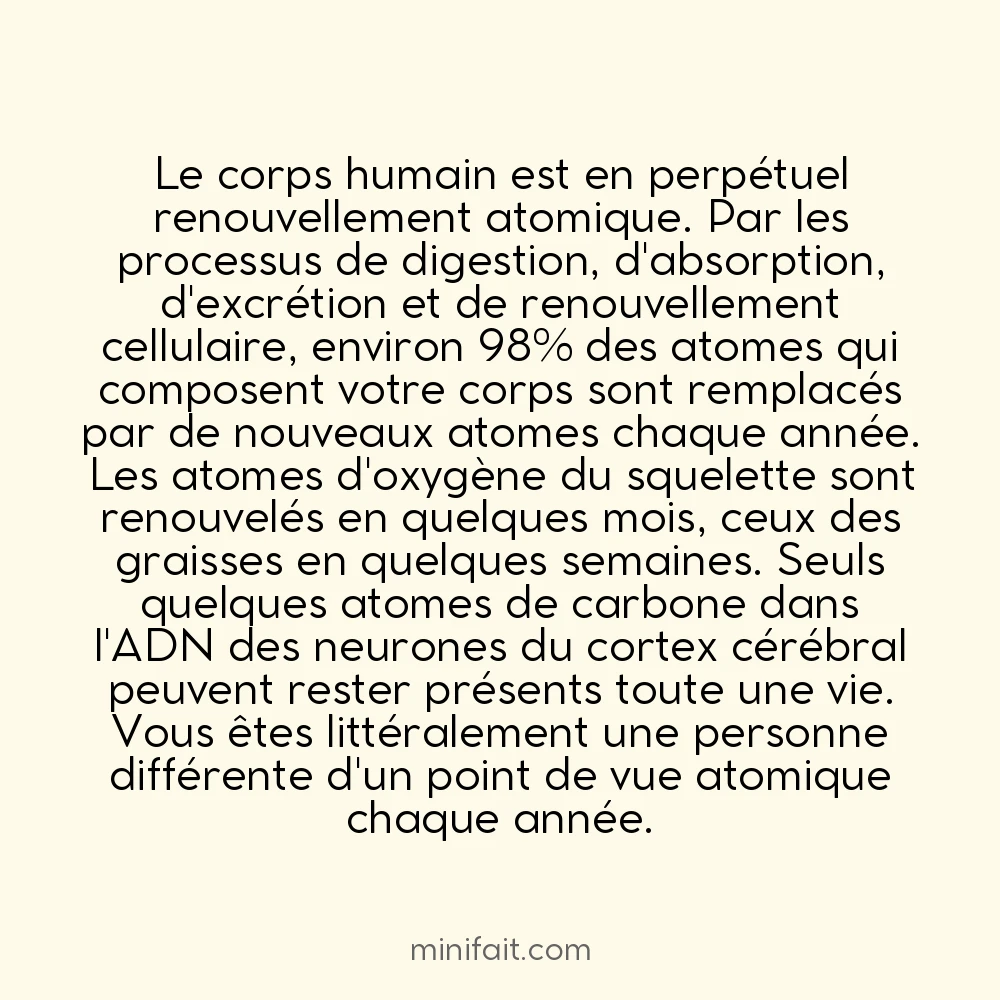 Le corps humain renouvelle 98% de ses atomes tous les ans
