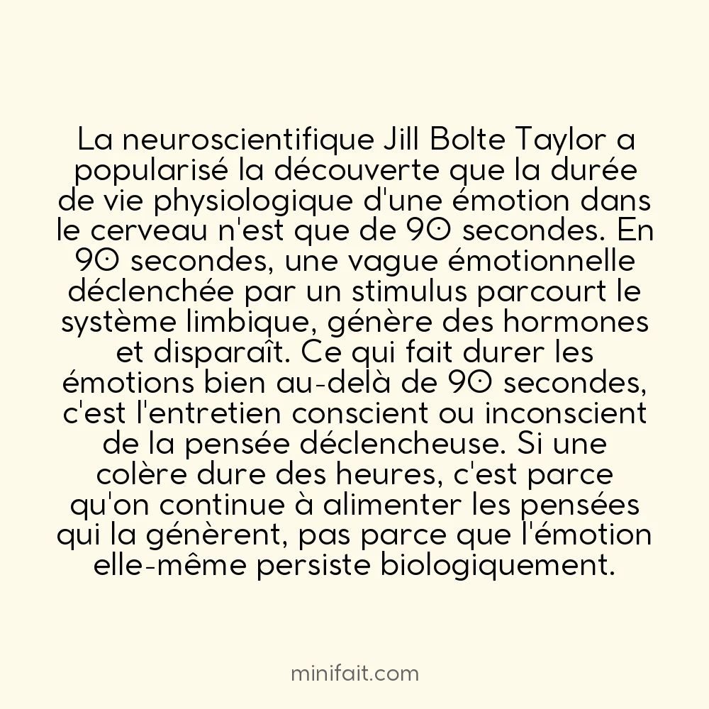 Les émotions durent naturellement 90 secondes dans le cerveau