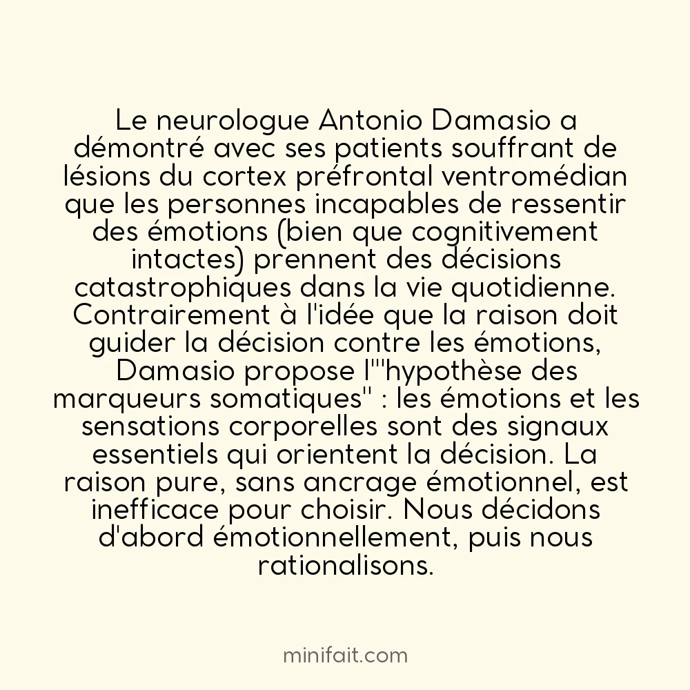 Les humains décident émotionnellement avant de rationaliser