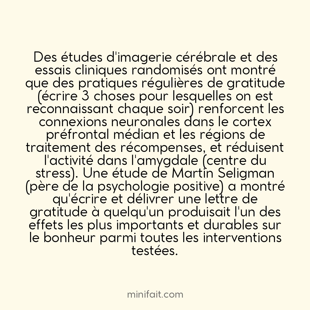 La gratitude recâble le cerveau vers plus de bonheur