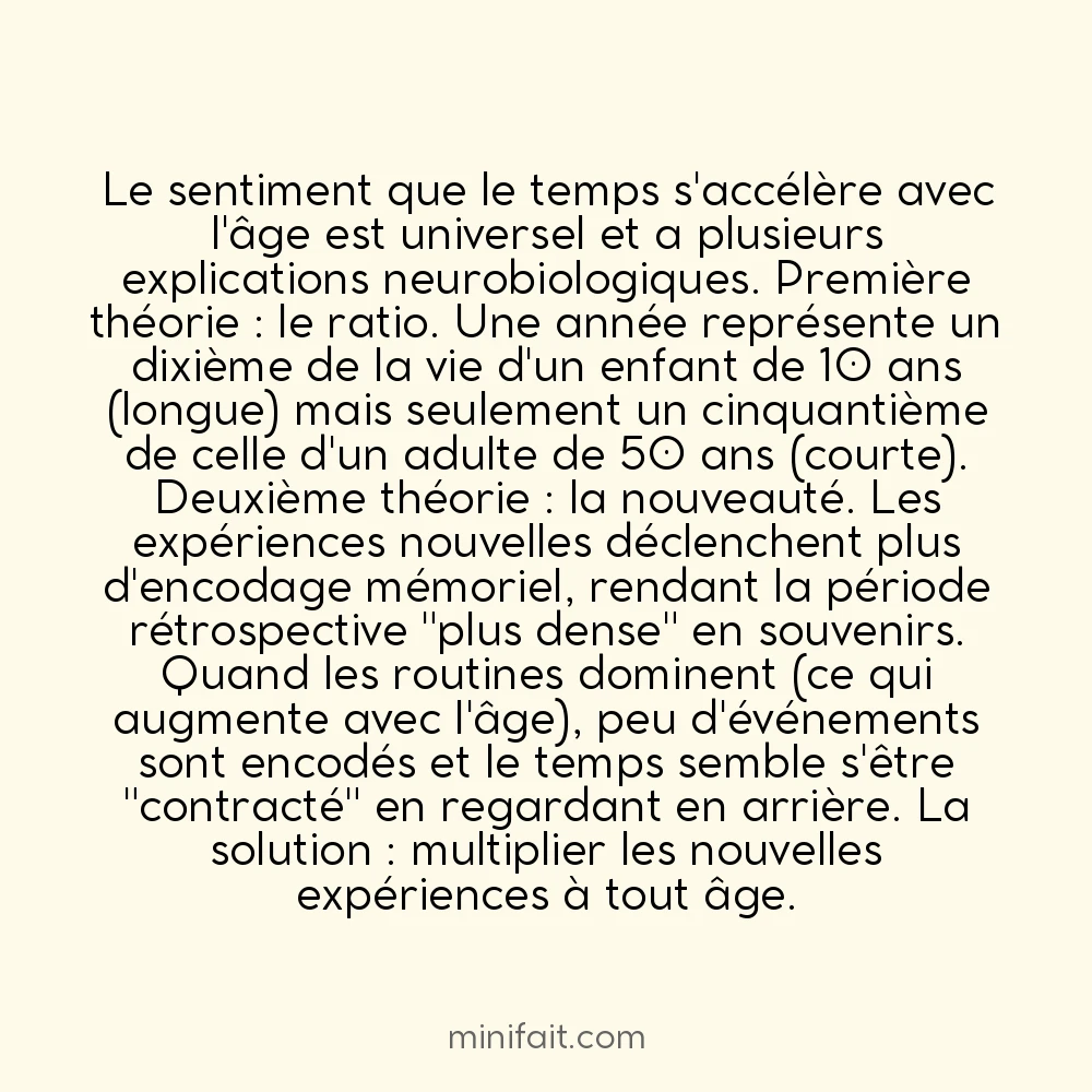 Le temps semble aller plus vite quand on vieillit pour une raison neurologique
