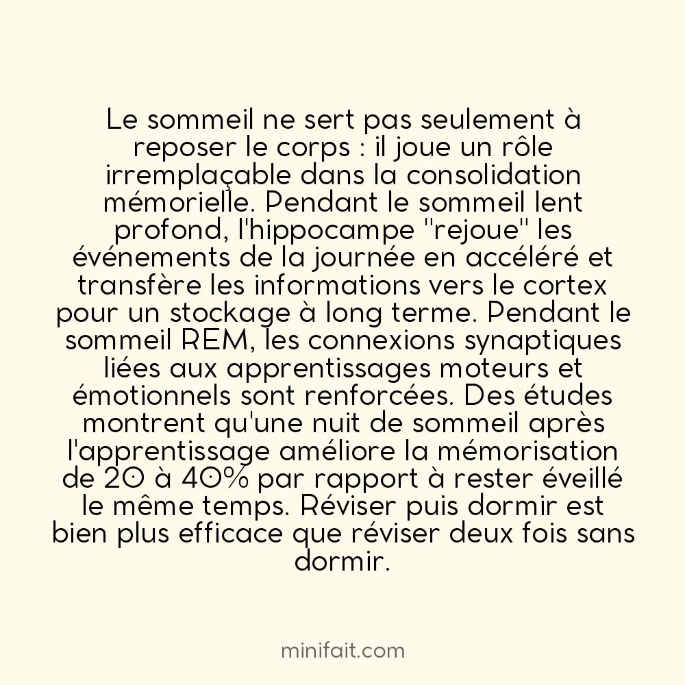 Le sommeil est indispensable à la consolidation de la mémoire