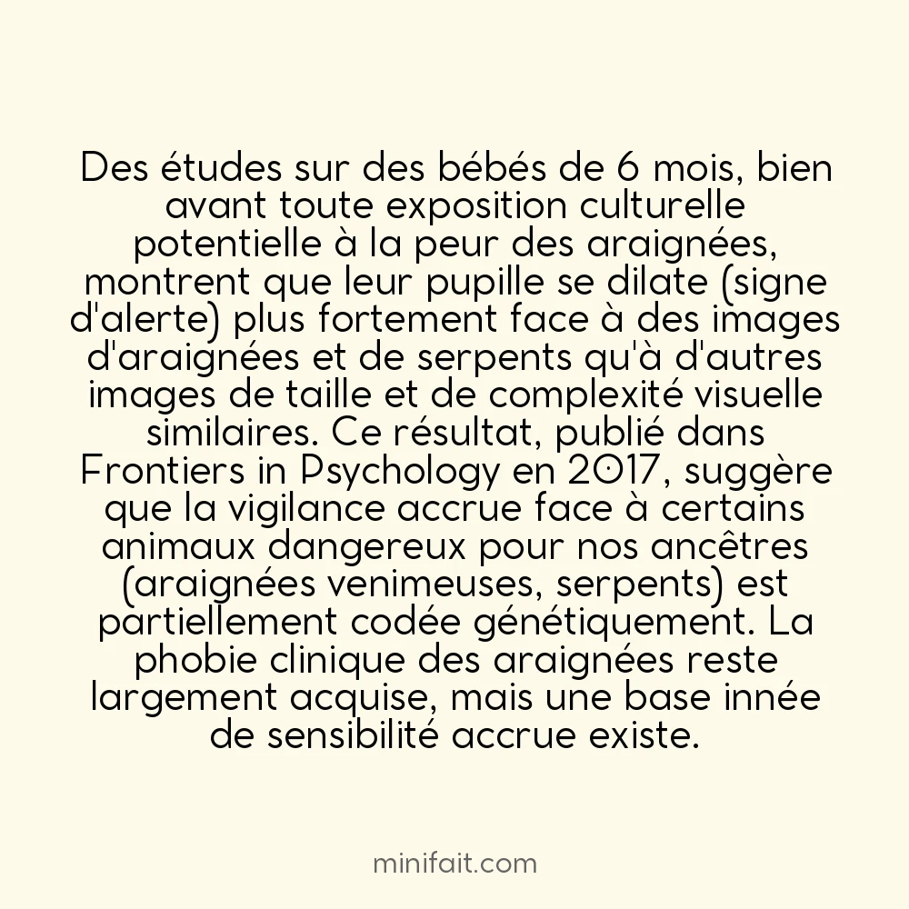 La peur des araignées est partiellement innée