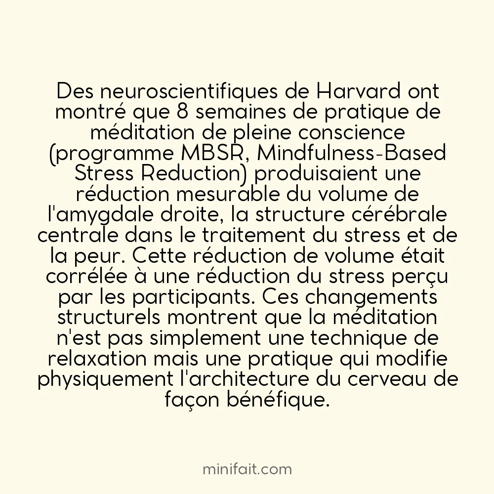 La méditation peut réduire le volume de l&rsquo;amygdale