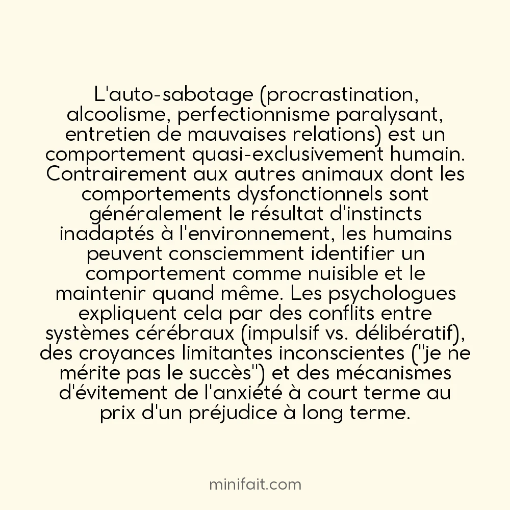 L&rsquo;humain est le seul animal à s&rsquo;auto-saboter consciemment