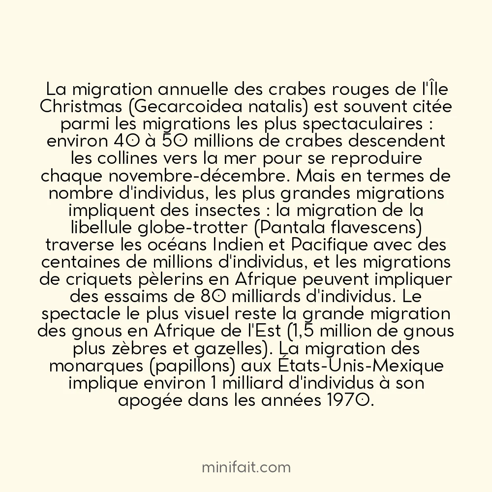 La plus grande migration animale sur Terre concerne 1,5 milliard d&rsquo;individus