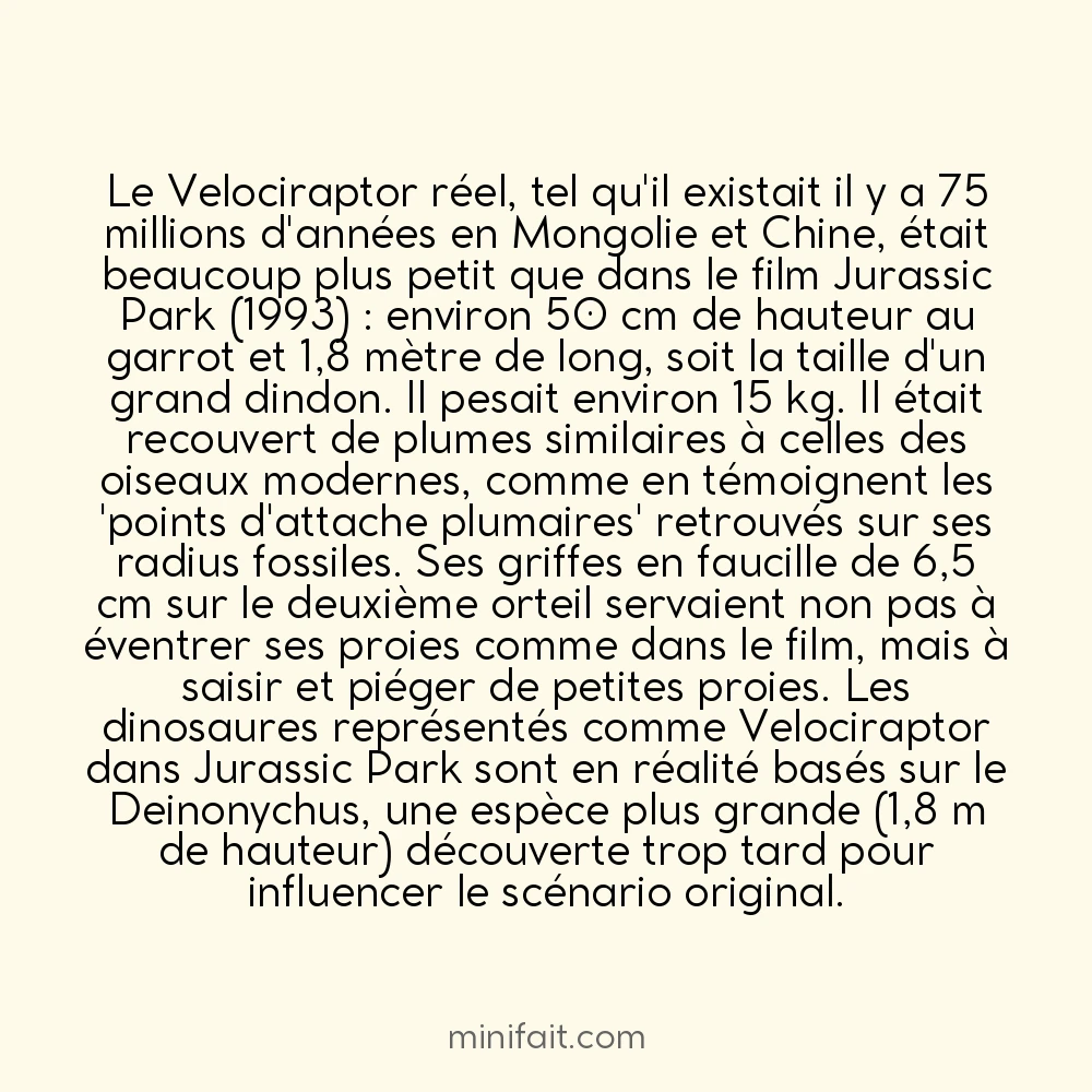 Le Velociraptor n&rsquo;était pas aussi grand que dans Jurassic Park mais avait des plumes
