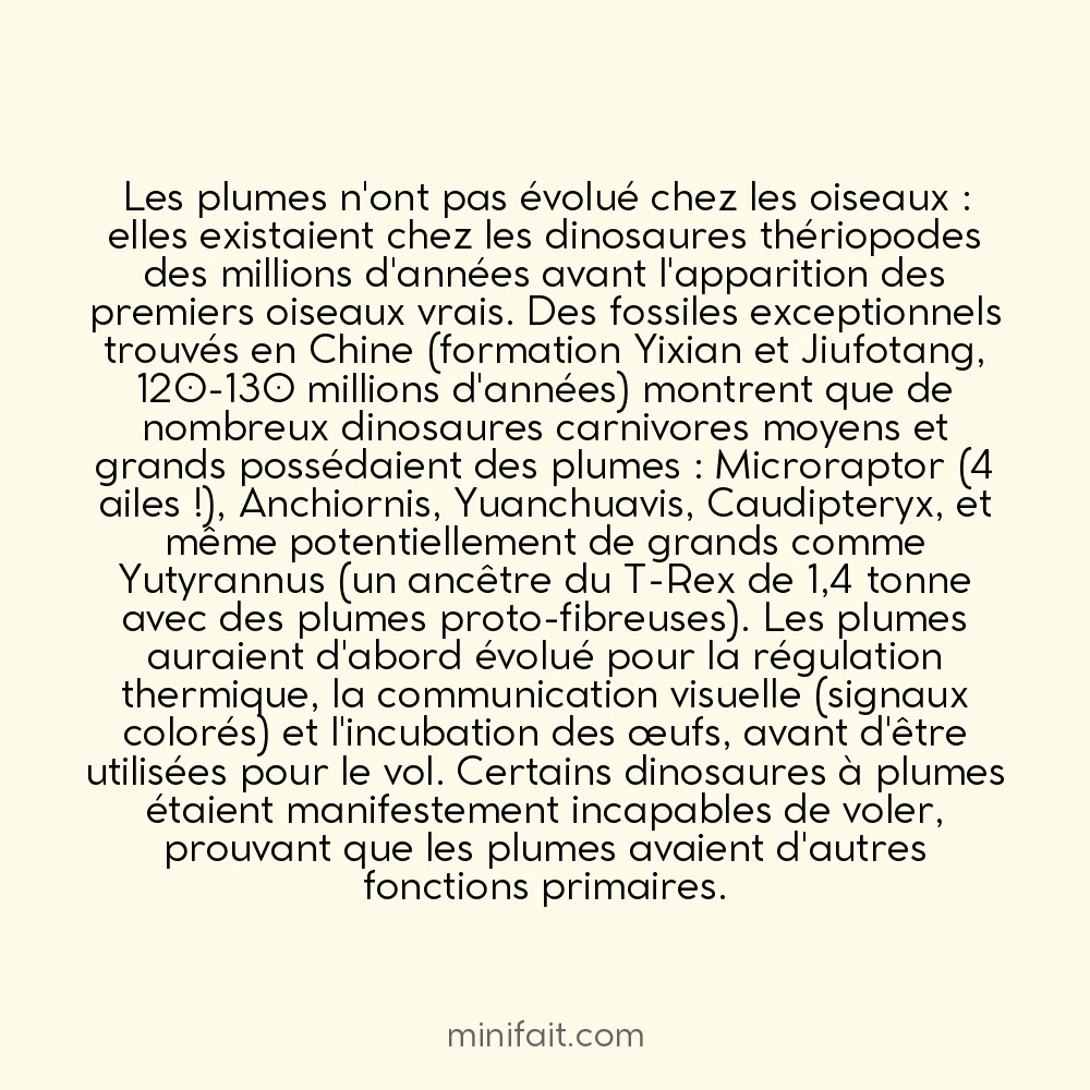 Les dinosaures avaient des plumes bien avant que les oiseaux n&rsquo;existent
