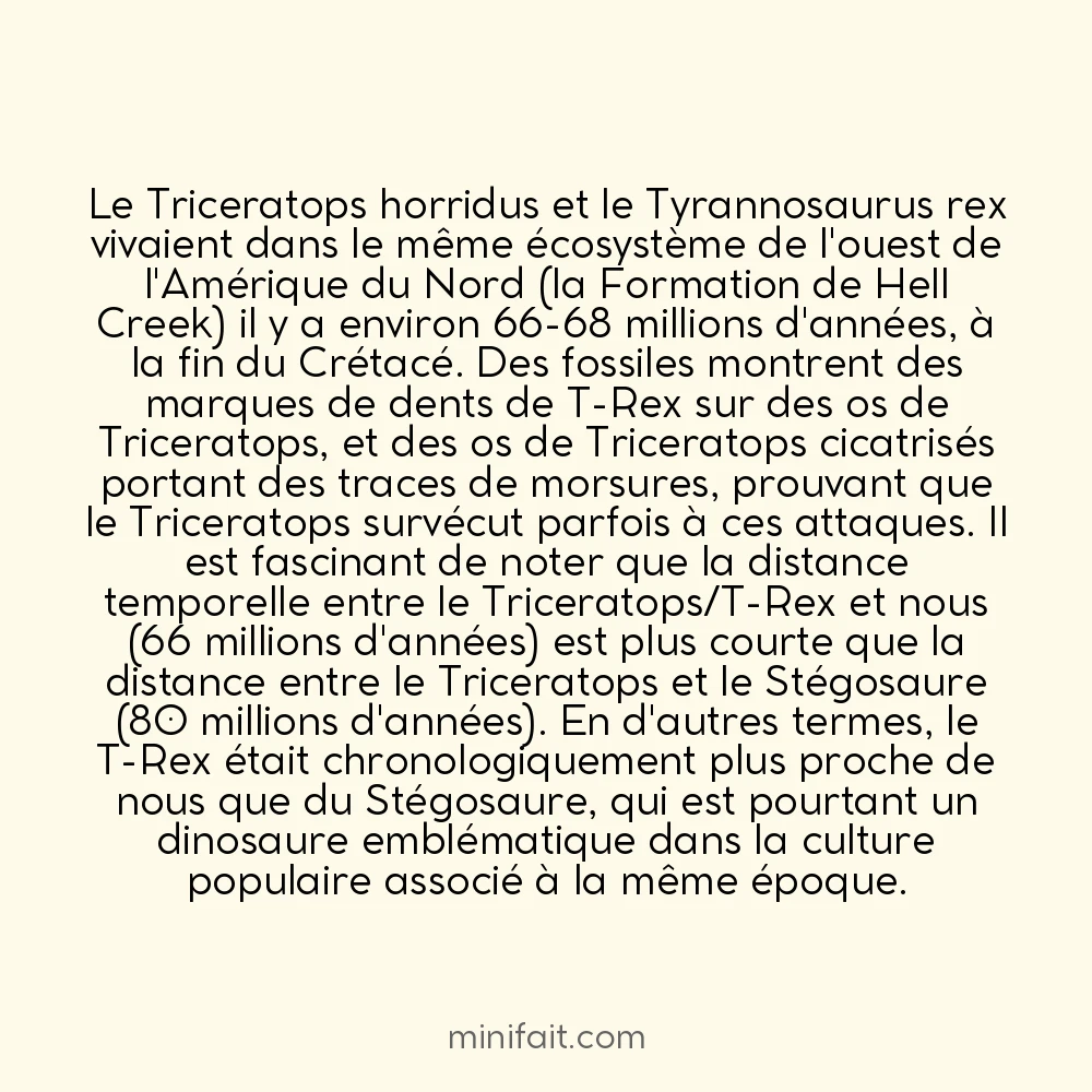 Le Triceratops et le T-Rex ont coexisté dans le même écosystème