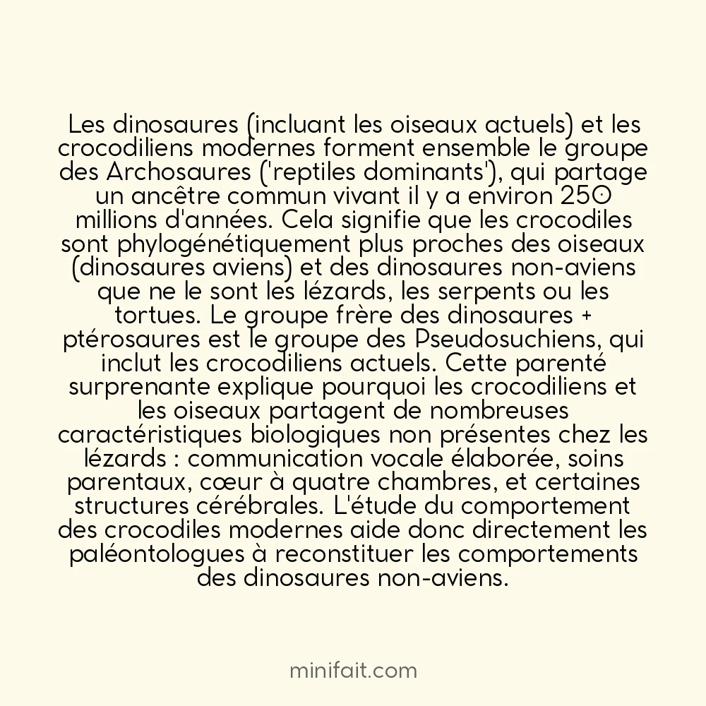 Les dinosaures et les crocodiliens partagent un ancêtre commun plus proche que les lézards