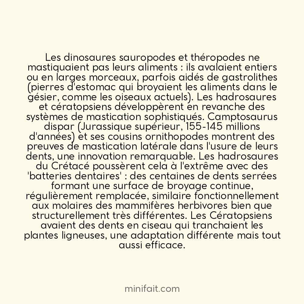 Le Camptosaurus était l&rsquo;un des premiers dinosaures à mâcher vraiment ses aliments