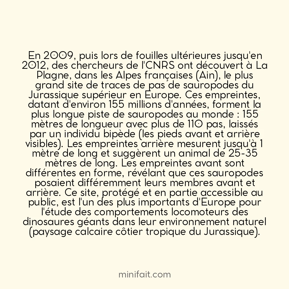 Des empreintes de pas de dinosaures géants ont été trouvées en France à Plagne