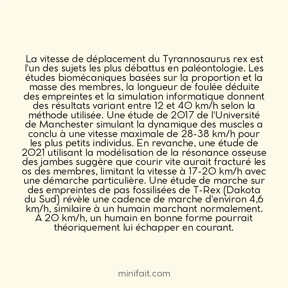 Un T-Rex courait à environ 20 km/h selon des études biomécaniques