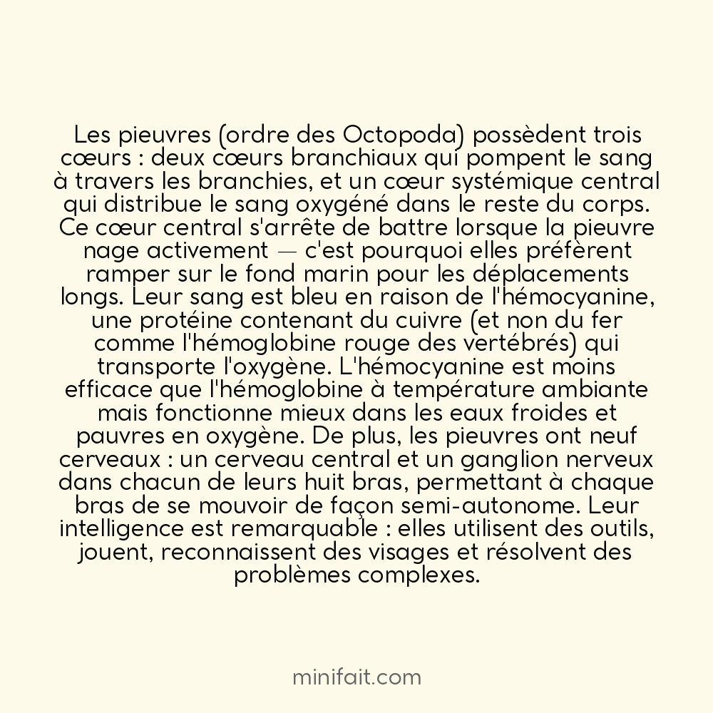 Les pieuvres ont trois cœurs et un sang bleu
