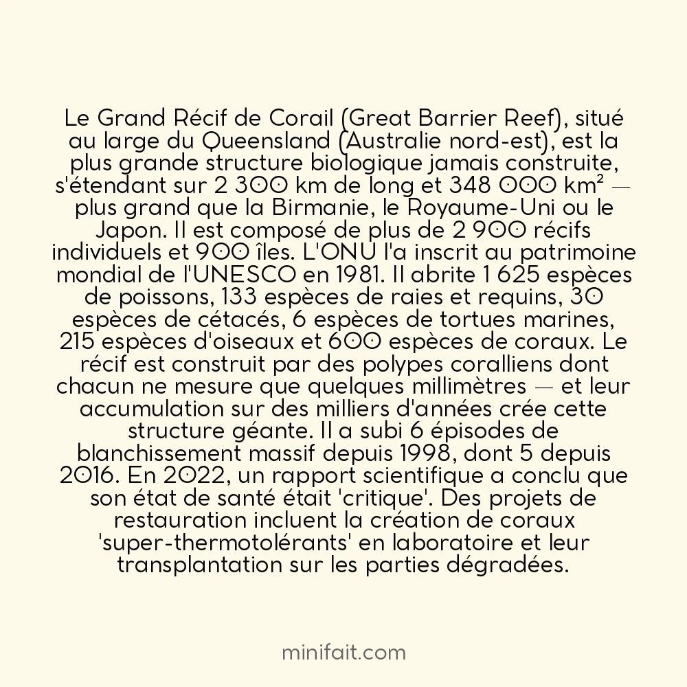 Le Grand Récif de Corail est la plus grande structure vivante du monde et visible de l&rsquo;espace