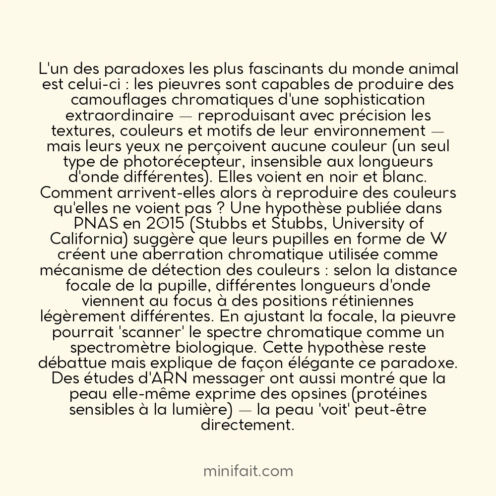 La pieuvre peut changer sa couleur et ses motifs mais est daltonienne