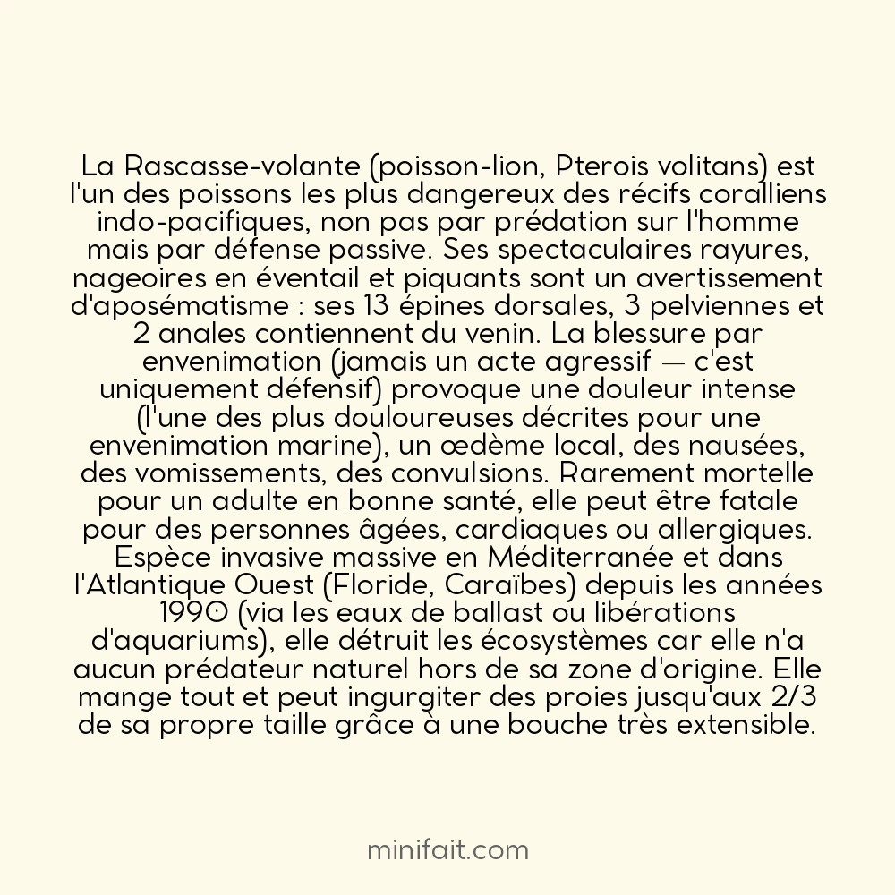 Les rascasses-volantes ont des épines venimeuses qui peuvent percer une combinaison de plongée