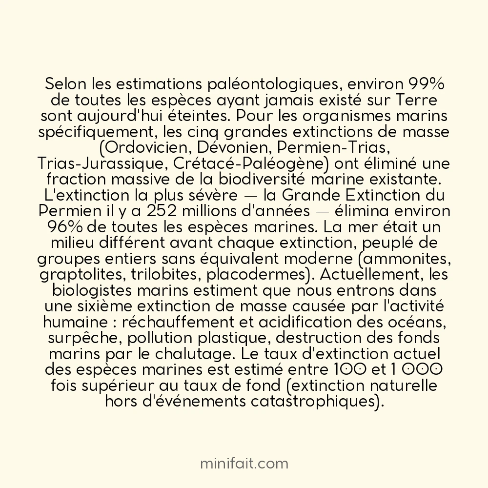 90% des espèces qui ont jamais existé dans l&rsquo;océan sont éteintes