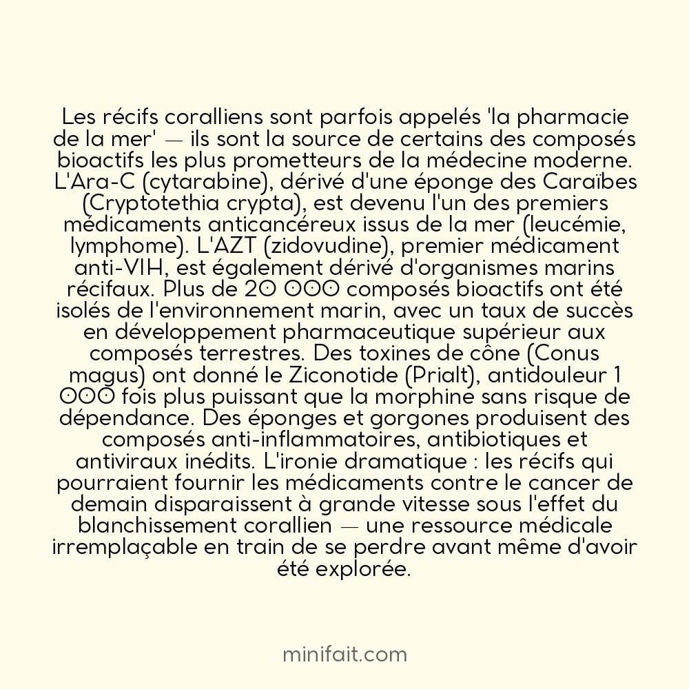 Les récifs coralliens fournissent des médicaments contre le cancer et les maladies infectieuses