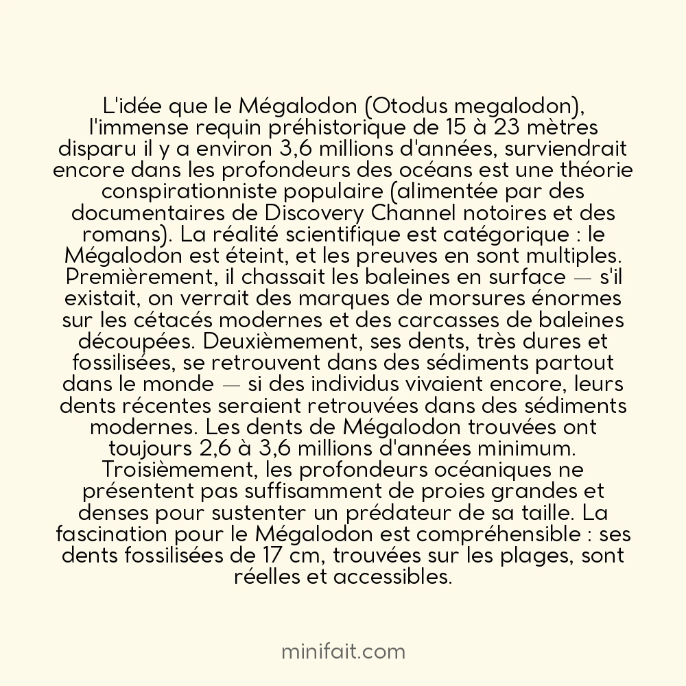Le Mégalodon n&rsquo;est pas éteint selon une théorie conspirationniste mais la science est formelle