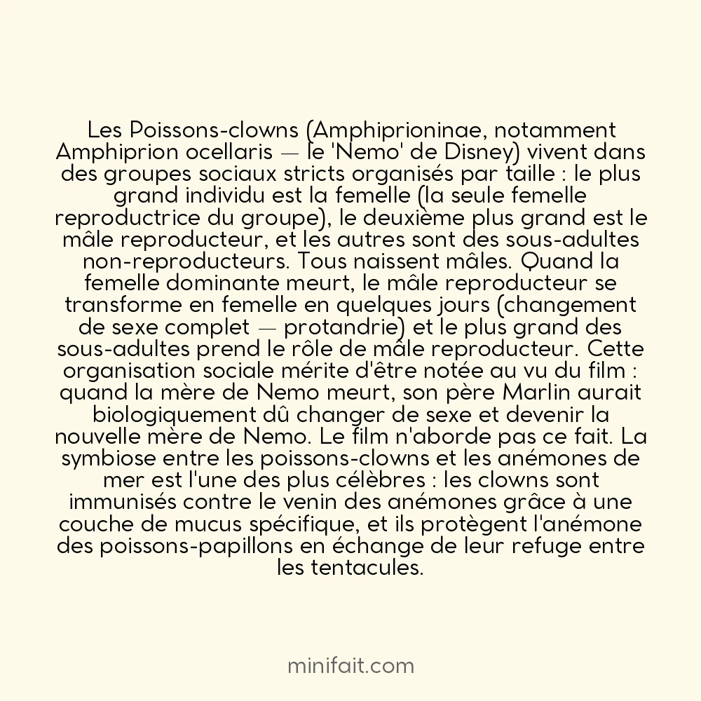 Les poissons-clowns changent de sexe à la mort de la femelle dominante