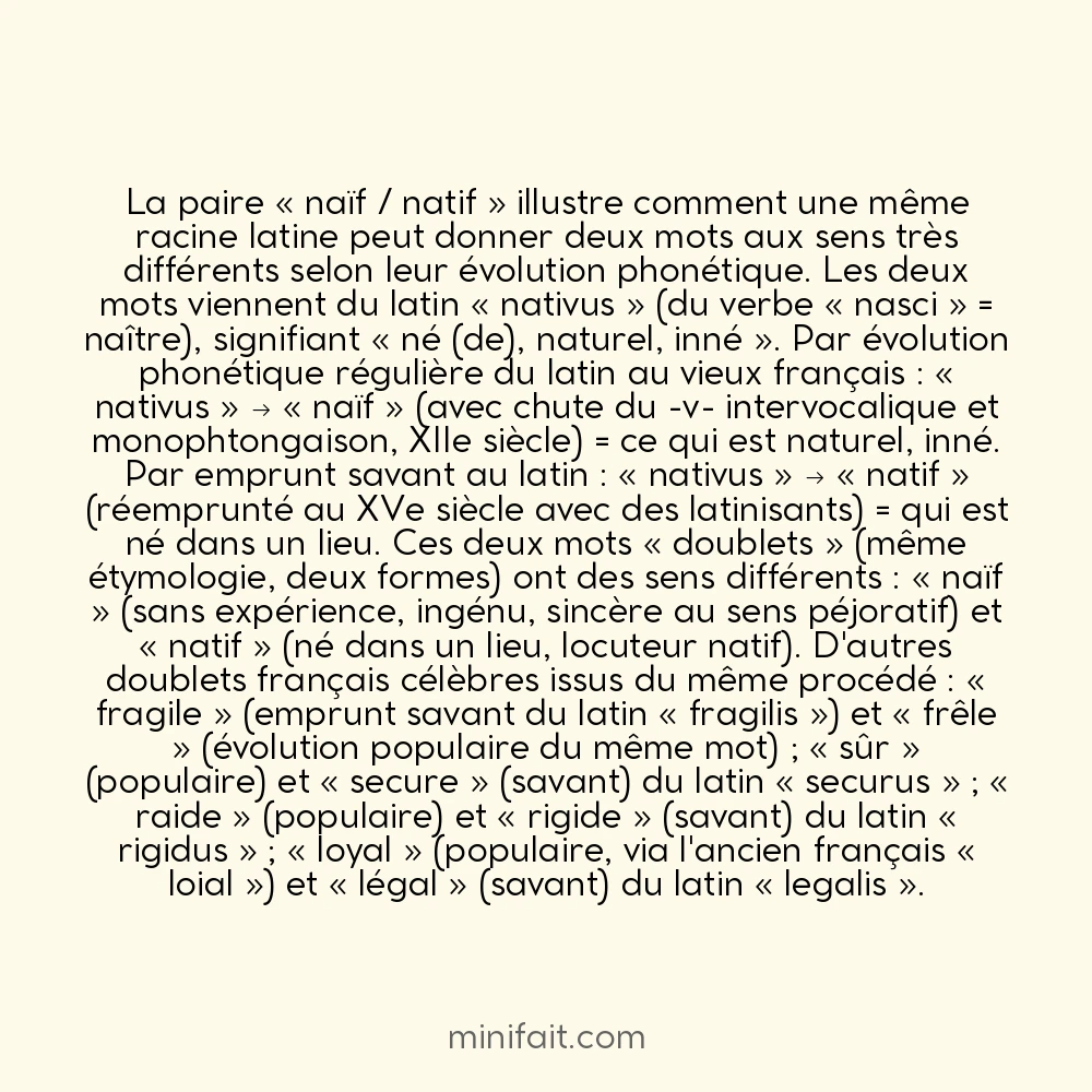 Le mot « naïf » et le mot « natif » partagent la même racine latine